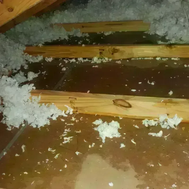 Attic Water Damage in Knox County, NE