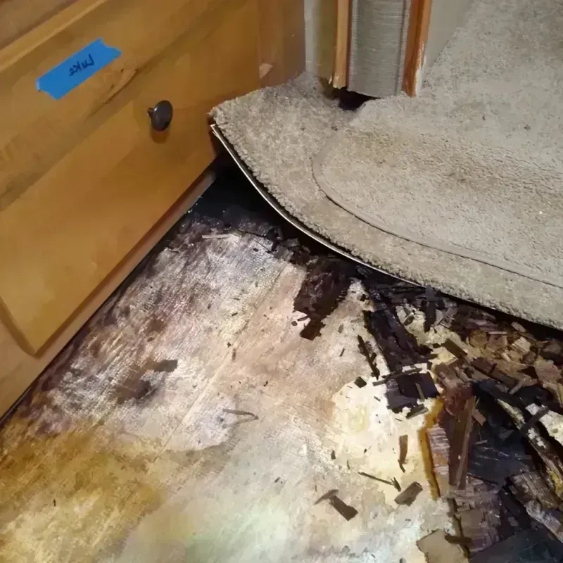 Wood Floor Water Damage in Knox County, NE